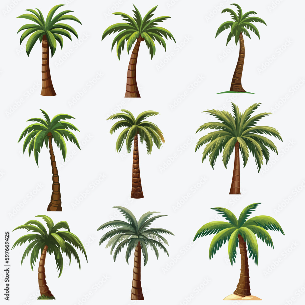 Vector Illustrations of Palm Trees in Different Variants, Isolated on a White Background