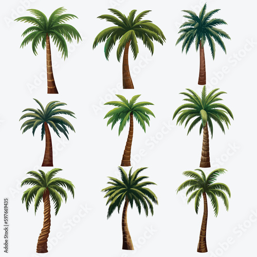 Assorted Vector Palm Trees in Various Variants, Isolated on a White Artboard