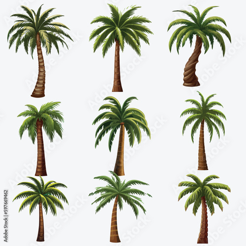 Variety of Vector Palm Trees in Various Designs  Isolated on a White Artboard