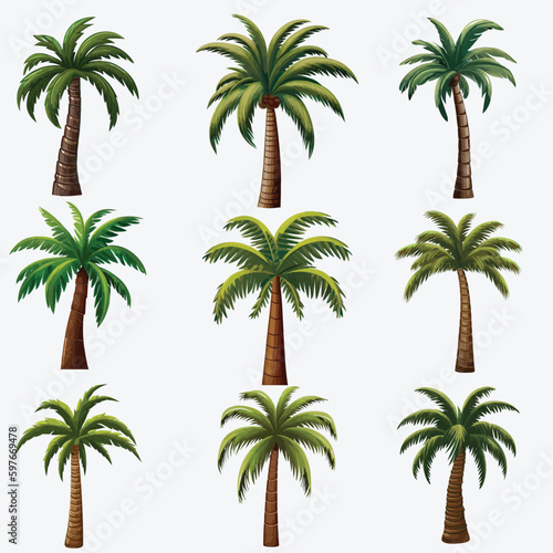 Vector Collection Featuring Different Variants of Palm Trees  Isolated on a White Background