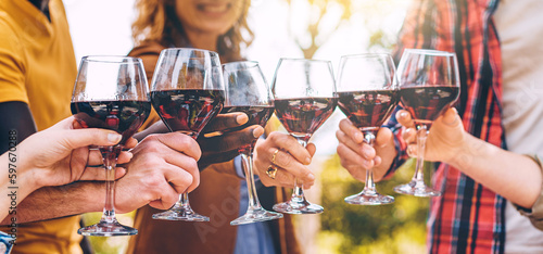 Six red wine glasses touching in a horizontal photo, symbolizing a multiracial gathering in the countryside during summer, possibly a picnic or friends' reunion.