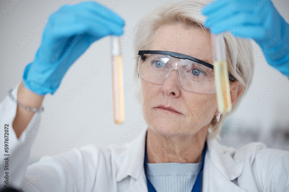 Senior woman, scientist and DNA samples or chemicals for experiment or testing with gloves in laboratory. Mature female in science discovery or research with test tubes for chemistry results in lab Senior woman, scientist and DNA samples or chemicals for experiment or testing with gloves in laboratory. Mature female in science discovery or research with test tubes for chemistry results in lab