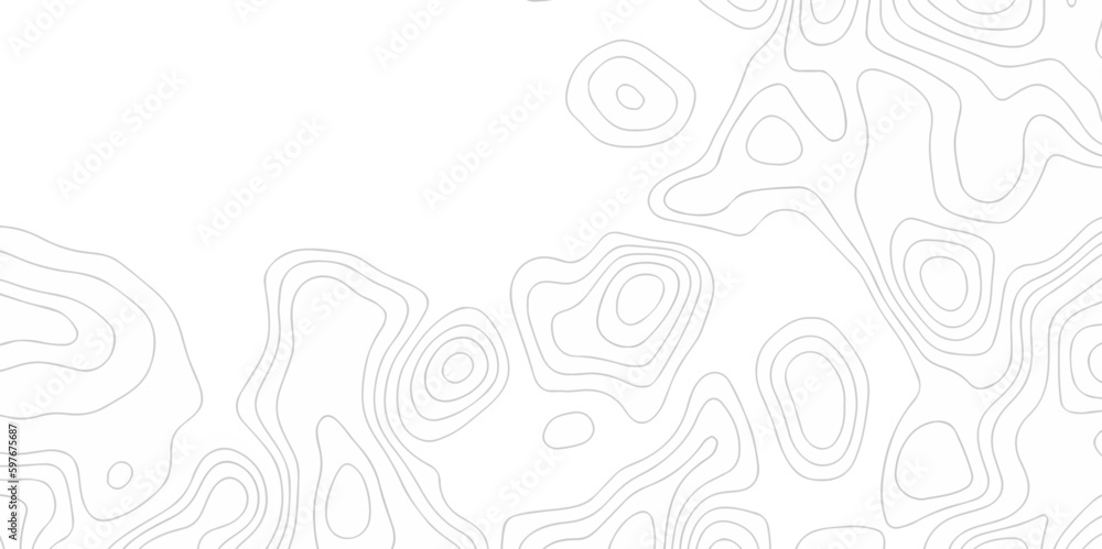 Abstract topographic contours map background, Topography map background. Vector geographic contour map. Topographic map and landscape terrain texture grid. Abstract white topography vector background.