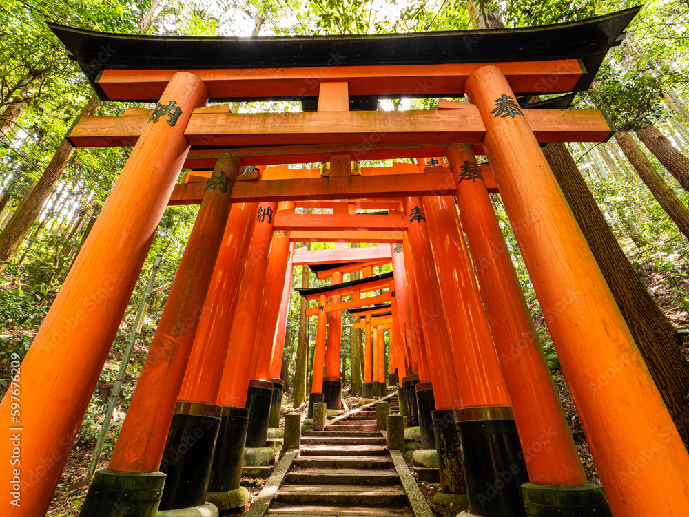 Dramatic view of walking in red gates Dramatic view of walking in red gates