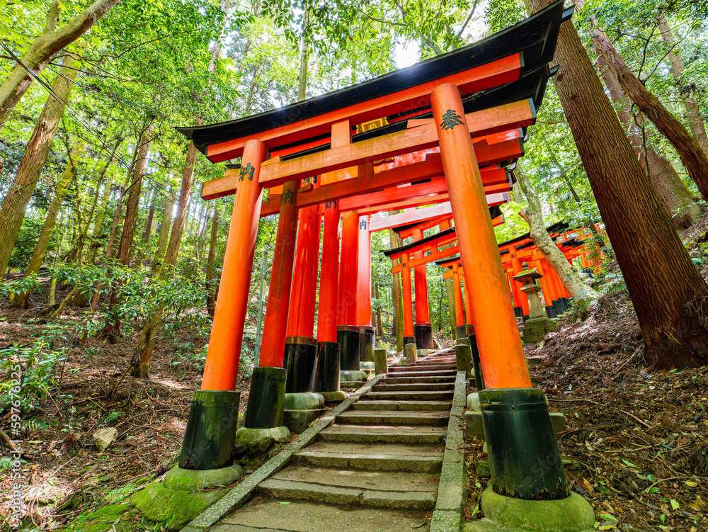 Dramatic view of walking in red gates Dramatic view of walking in red gates