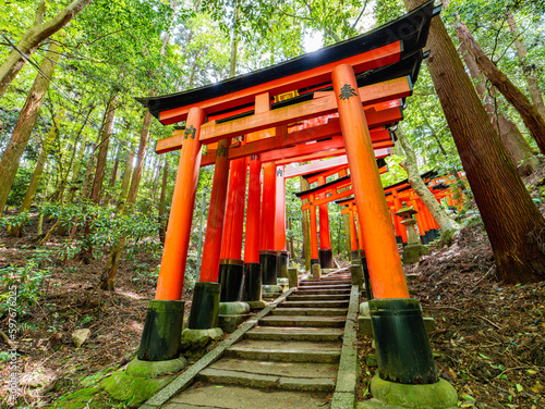 Dramatic view of walking in red gates  Torii   Fushimi Inari Shinto shrine in Kyoto in Japan  Travel or Trip