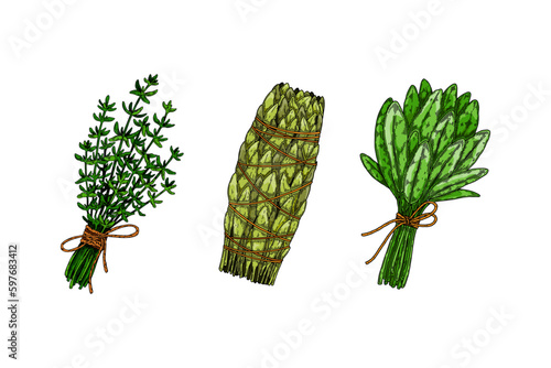 Herbal bunches. Set of hand drawn leaf seasonings. Vector illustration in sketch style