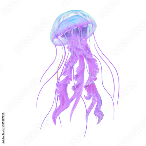Purple pink jellyfish