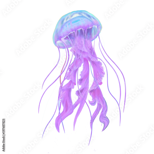Obraz Purple pink jellyfish