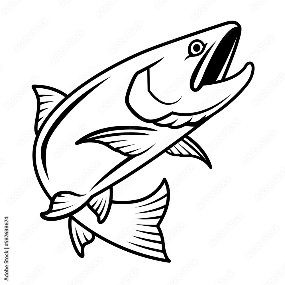 Salmon drawing with black blush lines, aquatic animal illustration on