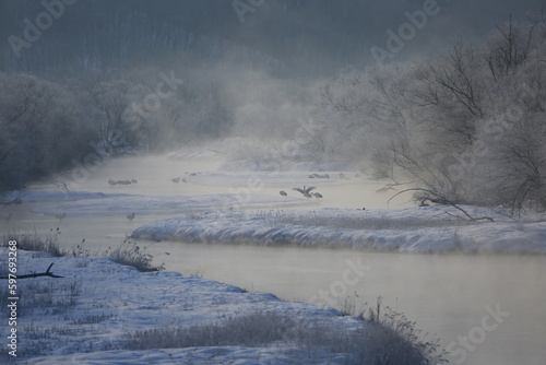mist over the river © Raphael