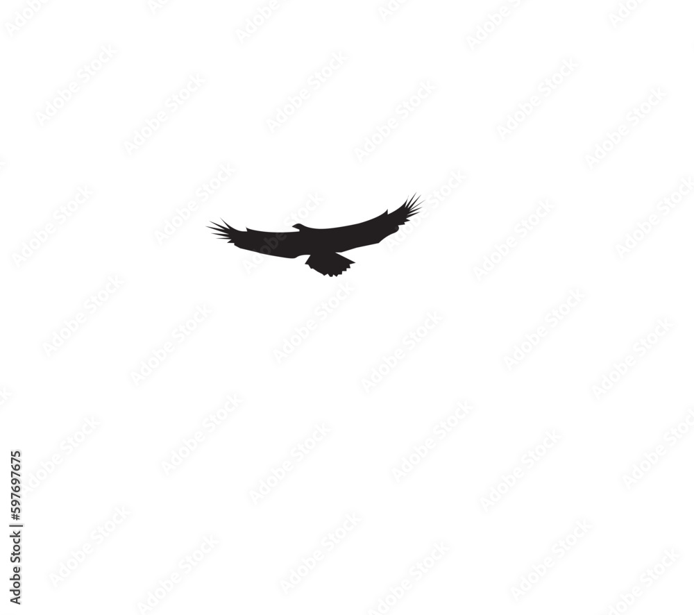 Fototapeta premium eagle with wings