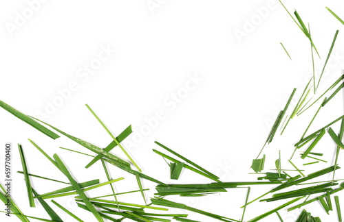 Frame green cut wild green grass isolated on white background and texture, top view