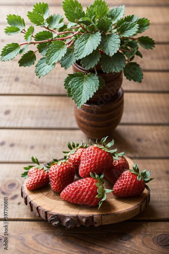 Freshly picked strawberries