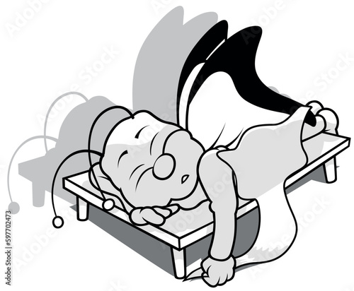 Drawing of a Sleeping Butte...