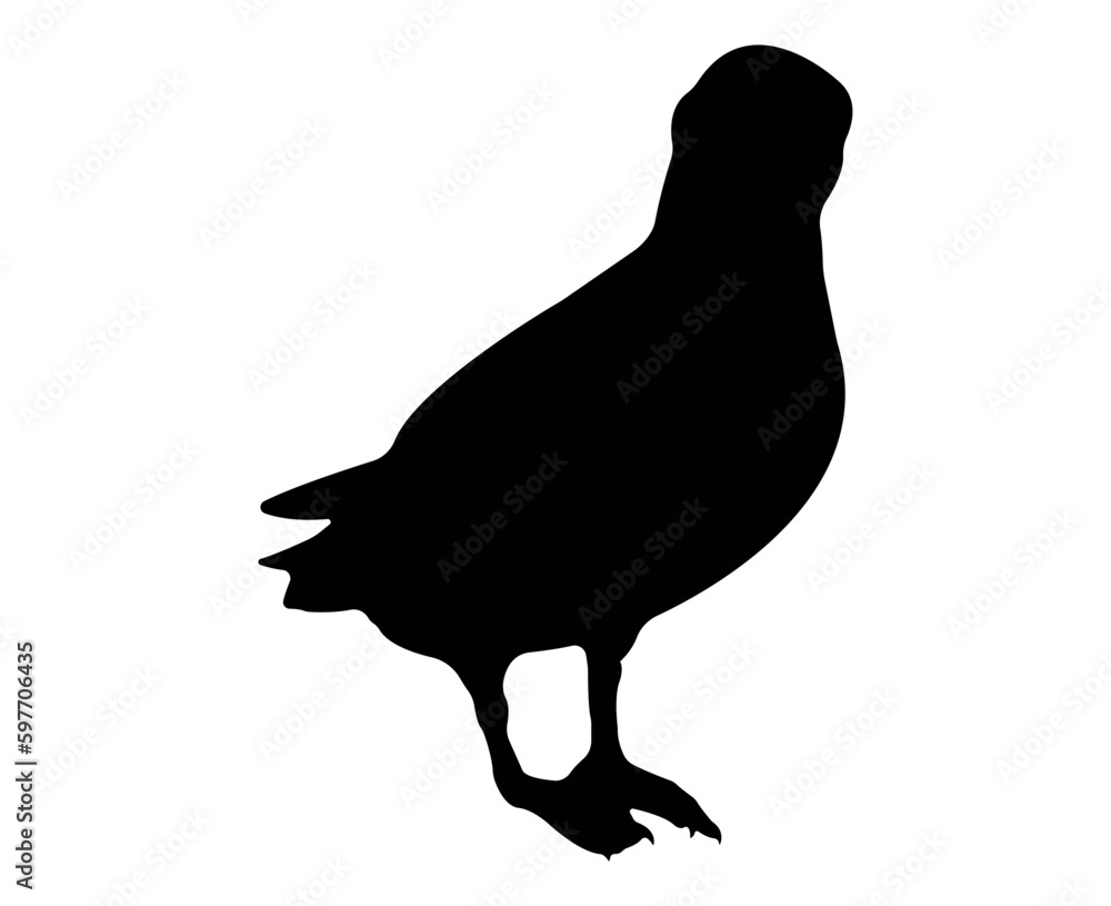 Obraz premium Vector flat puffin silhouette isolated on white background
