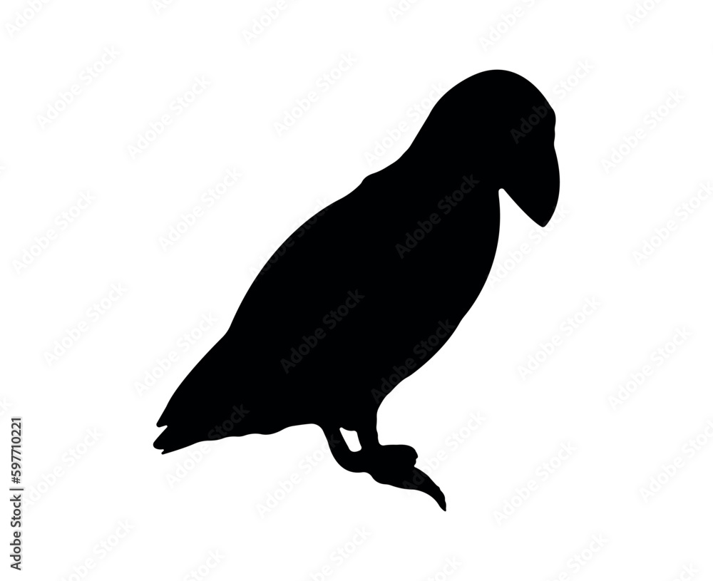 Fototapeta premium Vector flat puffin silhouette isolated on white background