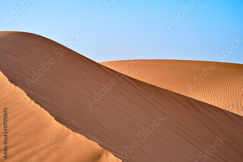 A view of the dunes in the Sahara desert  Morocco  on a clear blue sky day. Landscape shot. 