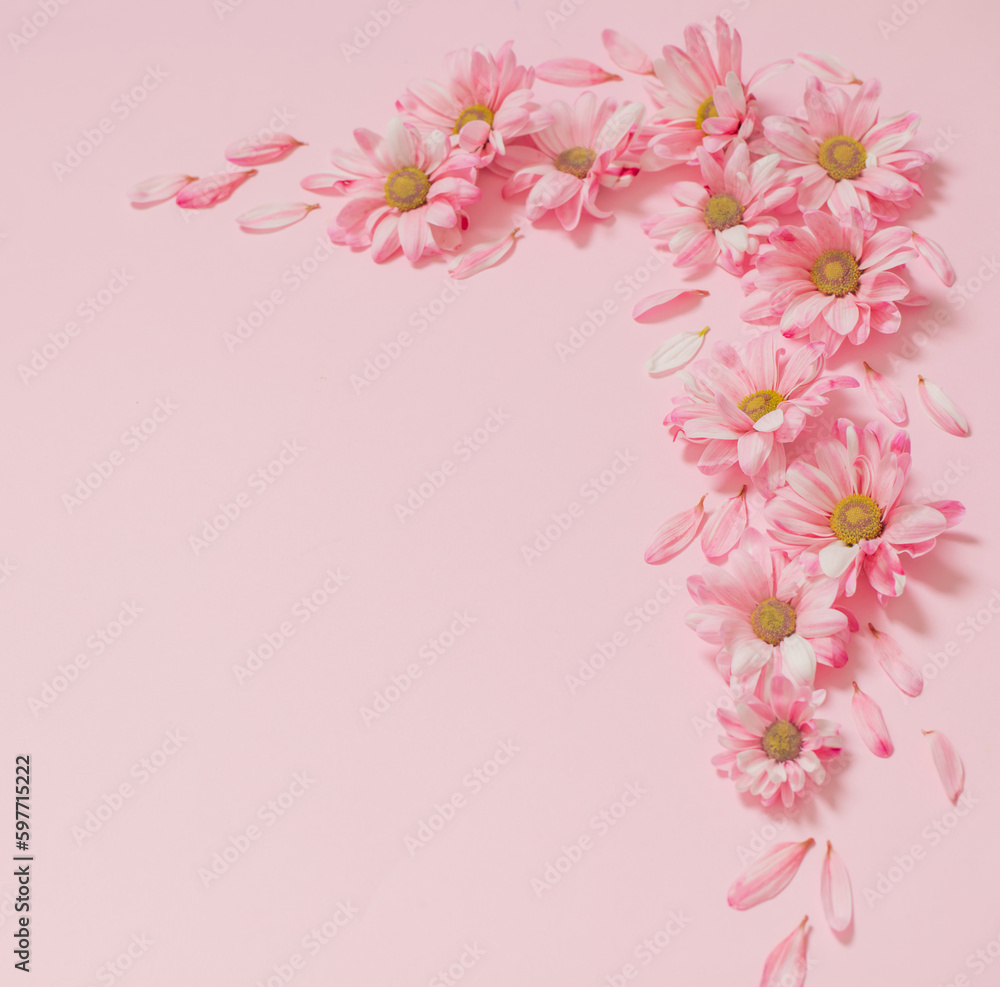 pink flowers on pink background