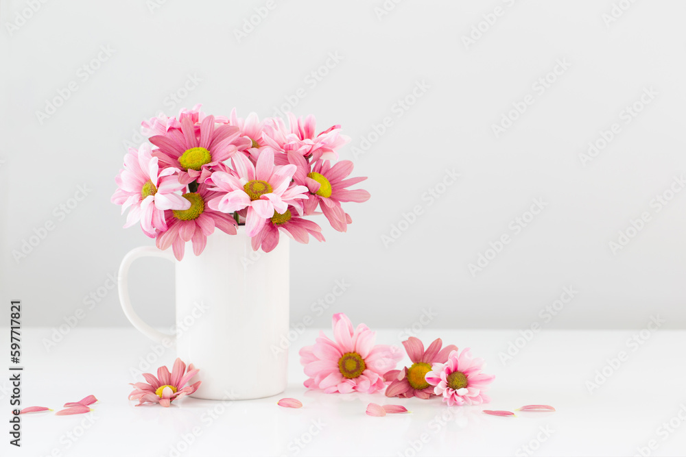 Fototapeta premium pink chrysanthemums in white cup on white background