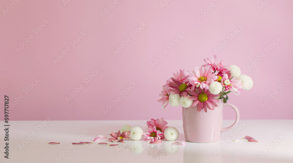 white and pink  chrysanthemums in pink cup on pink  background