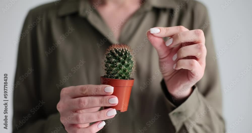 Woman touches cactus with thorns with index finger feeling pain. Small