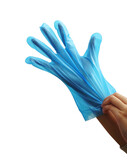 Hand wearing blue rubber gloves for cooking, isolated.