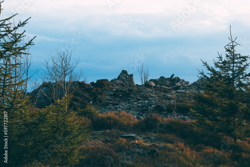 mountain top with stones and trees © Karen Remez