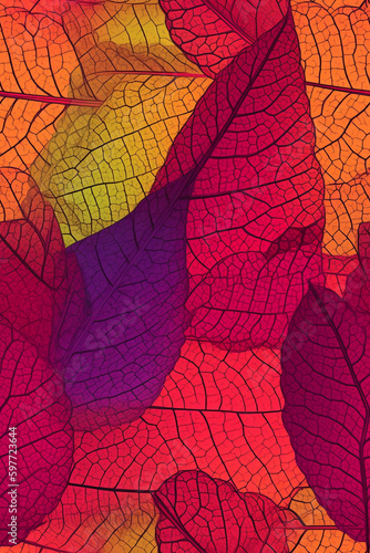 Macro colorful leaves. generative ai.