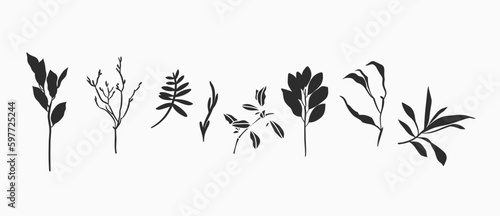 Hand drawn vector abstract graphic illustrations silhouette collection set with bohemian magic black art of natural flowers and plants leaves wreath herb botanical floral garden plants silhouette.