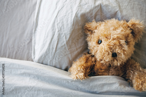 Lonely Teddy Bear lying on the bed