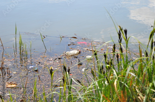 Plastic Bottle in a polluted river, France