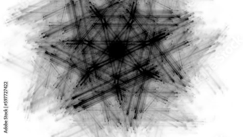 Black floral swirling pattern of curved waves and rays on a white background. Abstract fractal video