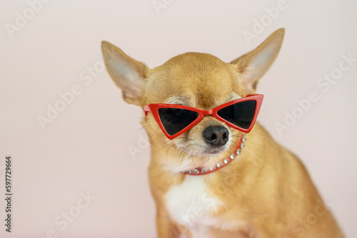 Fototapeta Naklejka Na Ścianę i Meble -  A red chihuahua dog in stylish sunglasses with red frames and a red collar with crystals on a pink background. Sale, advertising, discount, special offer, optics stores, business. Copy space for text