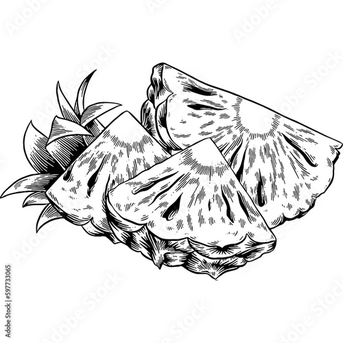Hand drawn Pineapple Slices Sketch Illustration