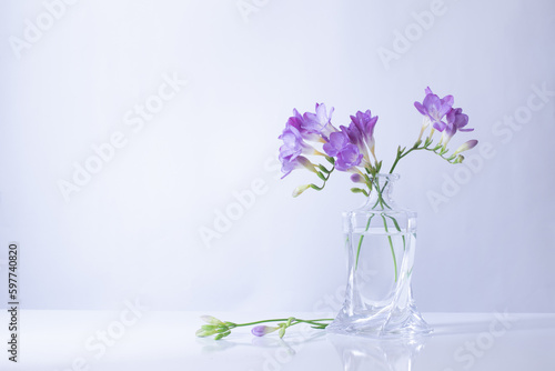 purple freesia in glass vase on white background