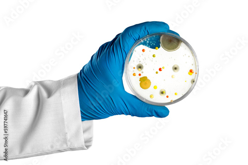 Canvastavla Hand in glove holding Petri dish with bacteria