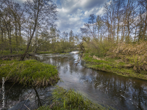 Spring on the small wild river Grabia in central Poland.