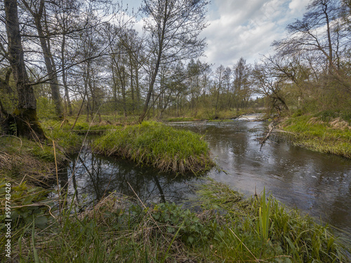 Spring on the small wild river Grabia in central Poland.