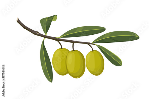 green olives isolated on white background