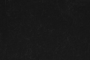 Animal white wool on black clothes background texture. close up of cat hair on clothes