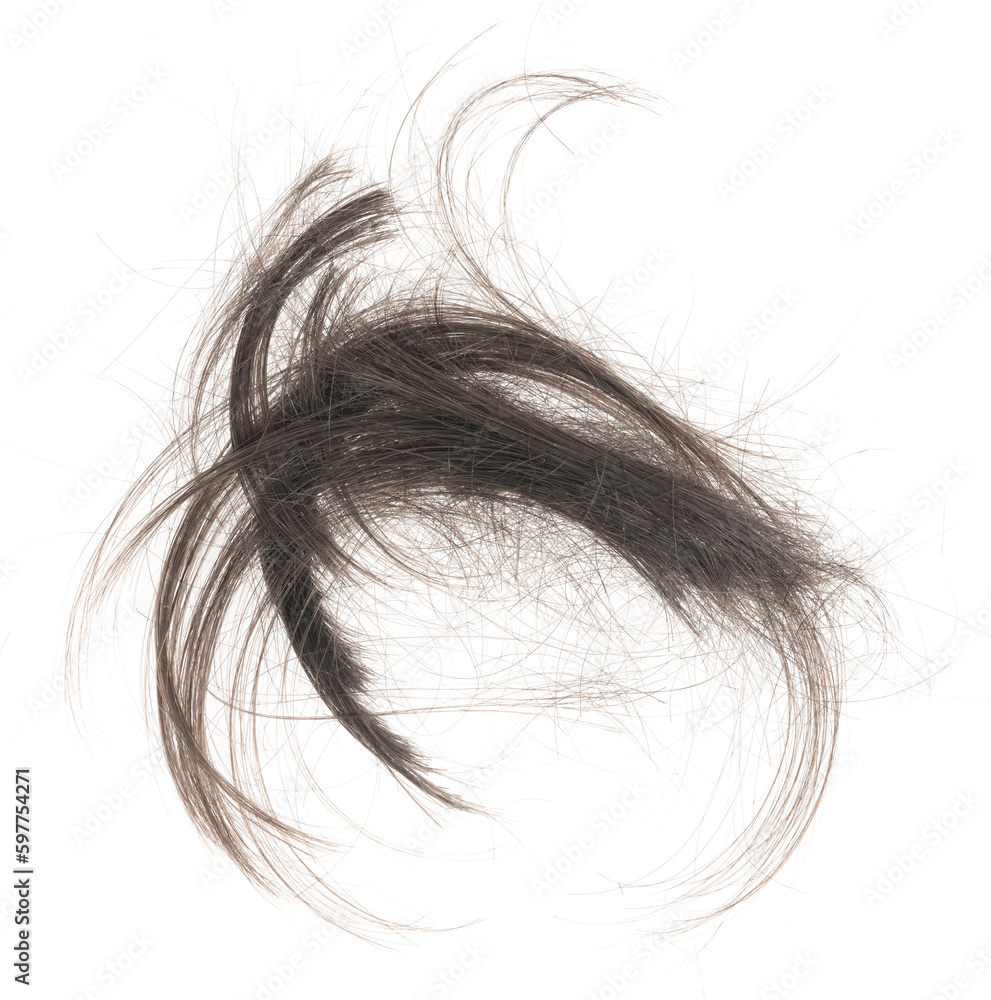 Hair bundle isolated on white background. tuft human hair close-up. haircut Hair bundle isolated on white background. tuft human hair close-up. haircut