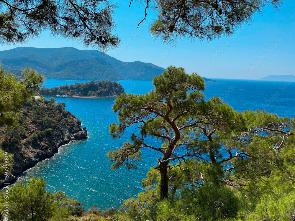 azure sky, azure sea and pine trees azure sky, azure sea and pine trees