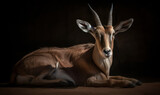 photo of goat antelope on black background. Generative AI