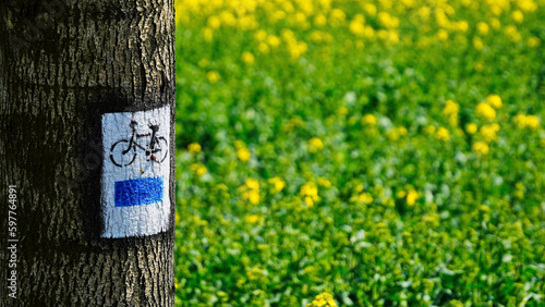 Szlak rowerowy - niebieski