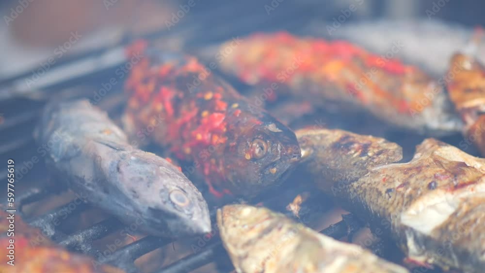 Selective focus of cooking fish. Baking and roasting marinated fish on barbecue grill. Thunnini grilled over charcoal. Summer barbeque hand marinade the fish.
Selective focus of cooking fish. Baking and roasting marinated fish on barbecue grill. Thunnini grilled over charcoal. Summer barbeque hand marinade the fish.
