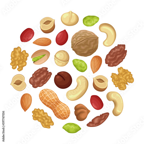 Set of vector nuts isolated on white background
