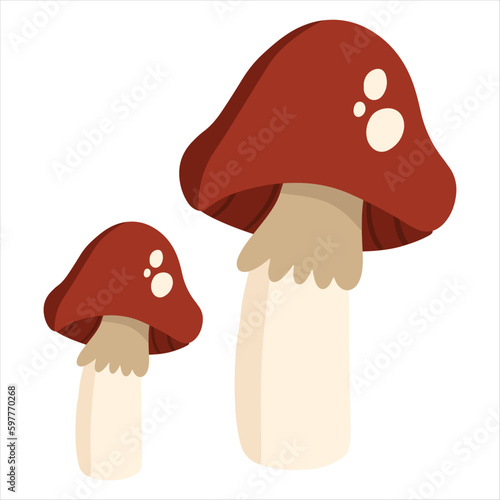 mushrooms