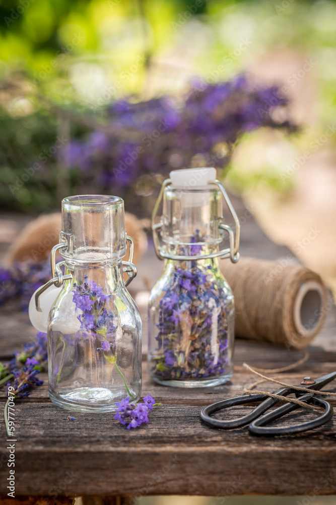 Healthy and aromatic lavender as a perfume ingredient. Healthy and aromatic lavender as a perfume ingredient.