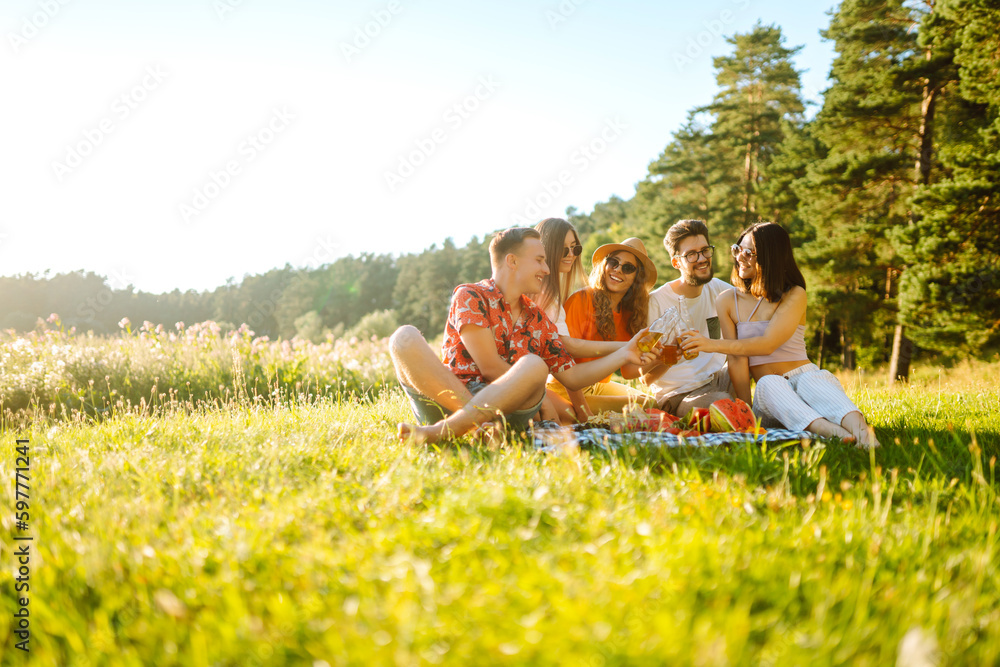 Cheerful company on sunny meadow at picnic is resting, drinking beer, cheers. Stylish friends enjoy sunny day on beautiful green meadow. Vacation, picnic, friendship or holliday concept. - obrazy, fototapety, plakaty 